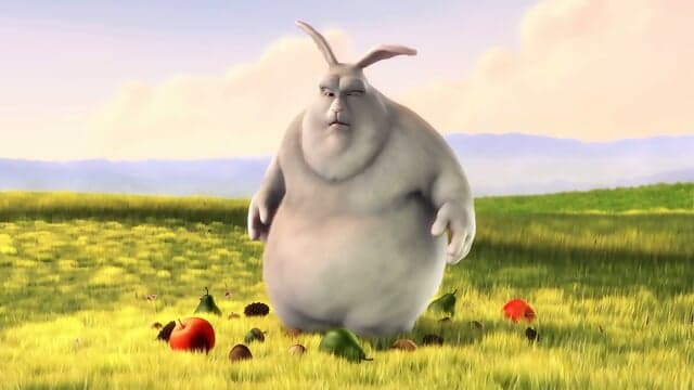 Big Buck Bunny Test