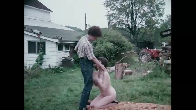 The Farmer's Daughters (1976)