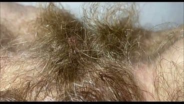 big bush closeup