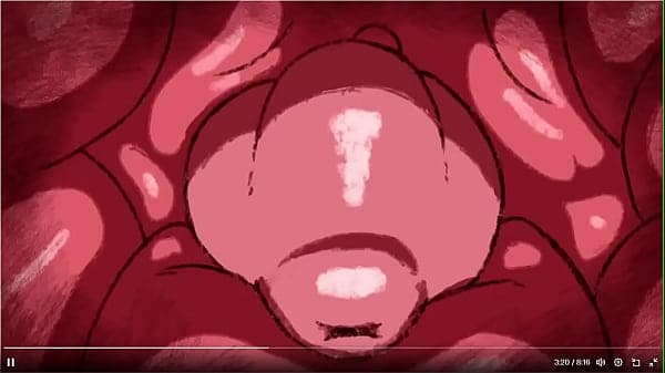 porn furry